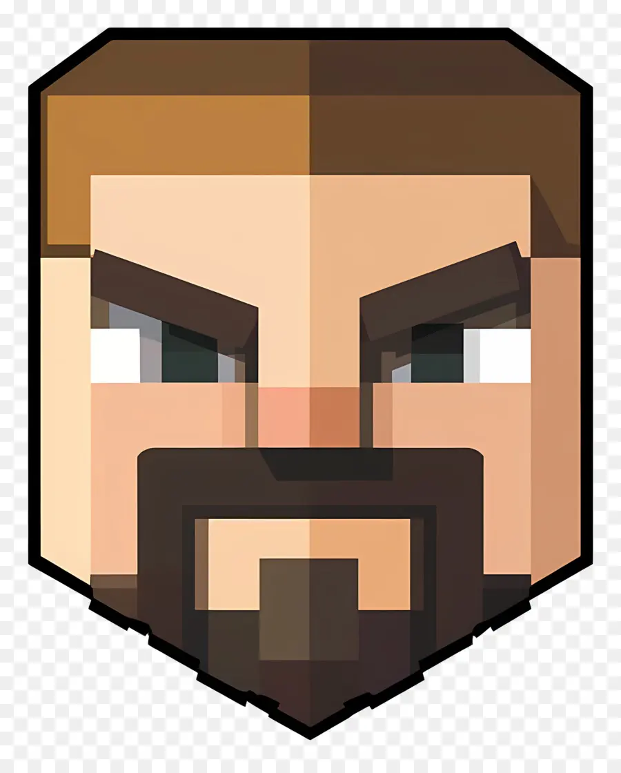 Minecraft，Visage Pixélisé PNG