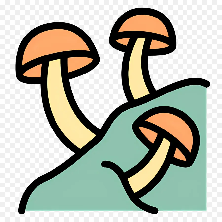 Champignon，Champignons PNG