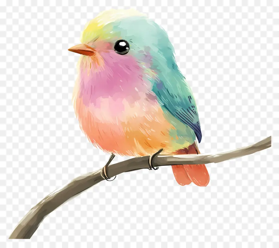 Oiseau Pastel，Oiseau Bleu Et Orange PNG