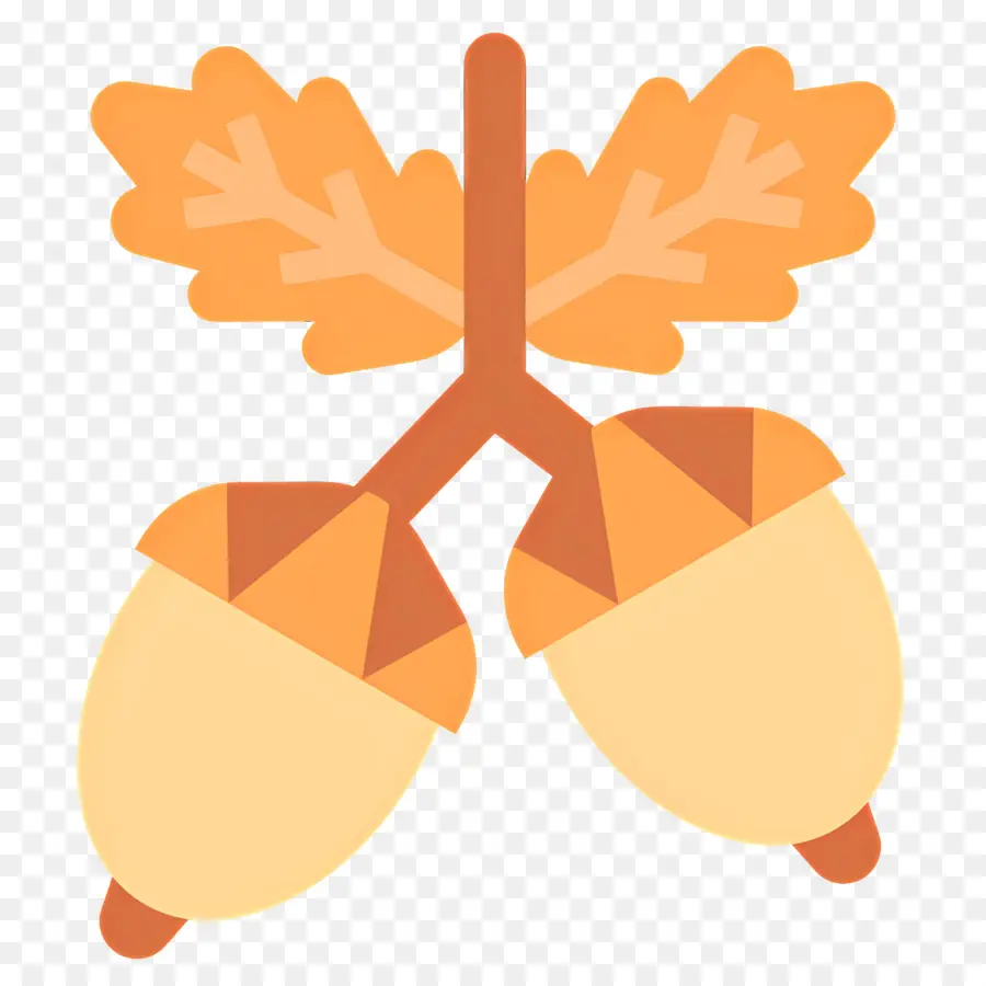 Glands，Feuilles PNG