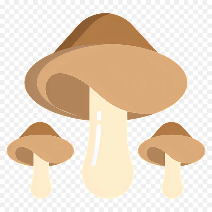 Champignon，Champignons PNG