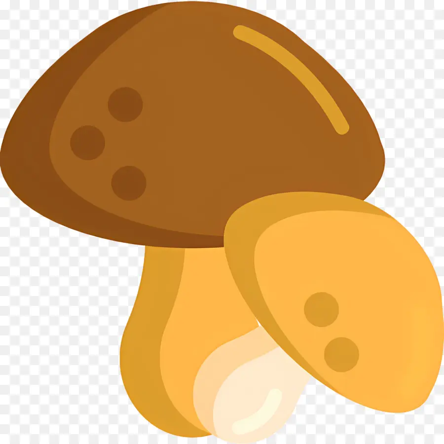 Champignon，Champignons PNG