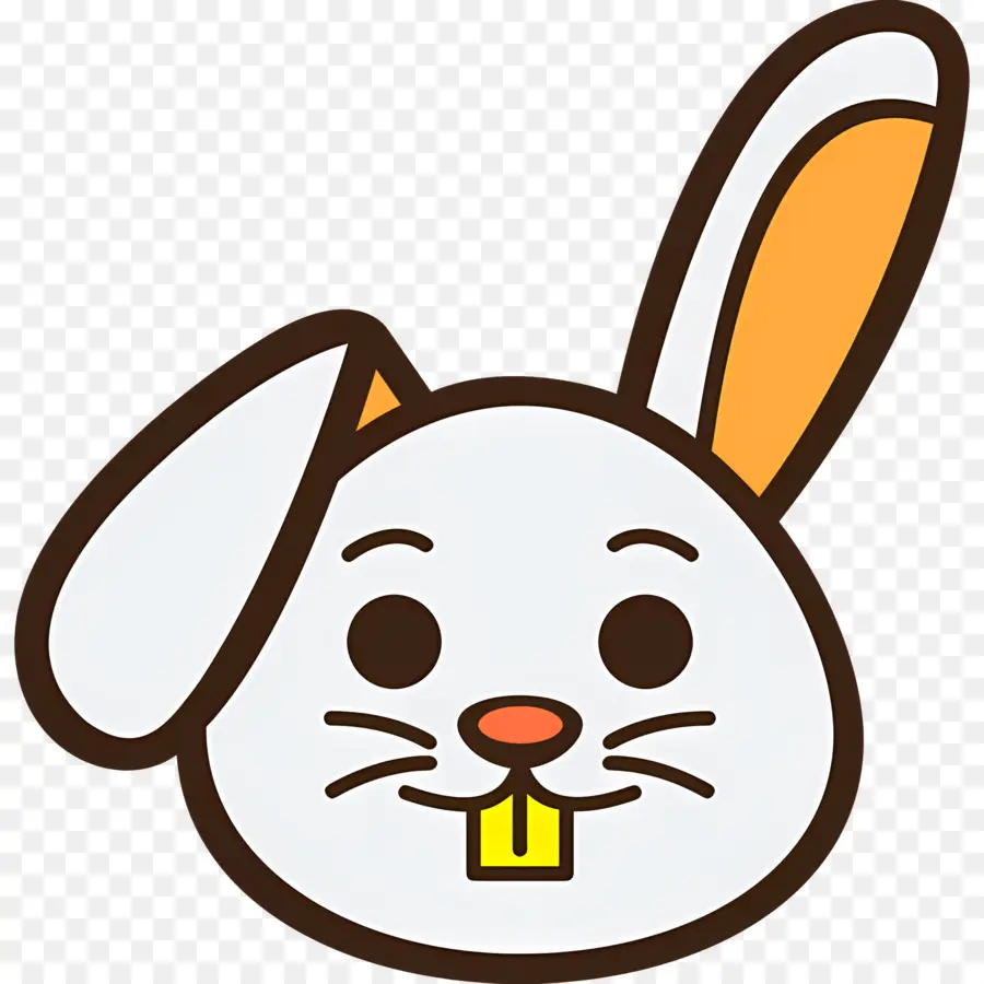 Lapin Mignon，Lapin PNG