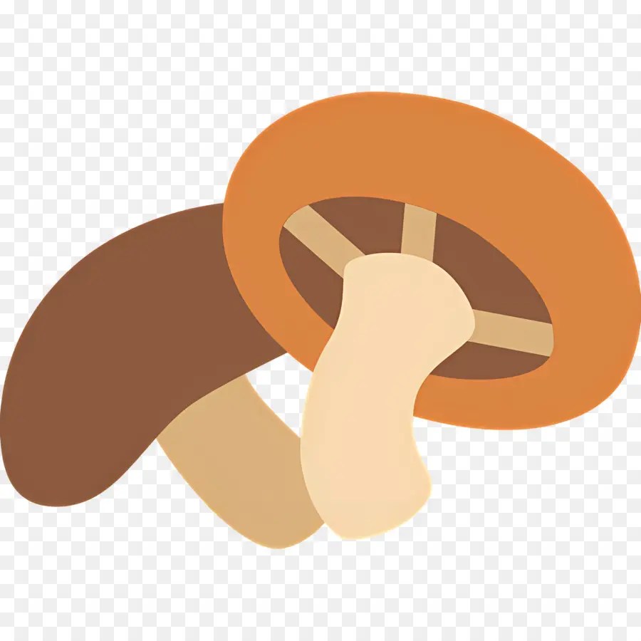 Champignon，Champignons PNG