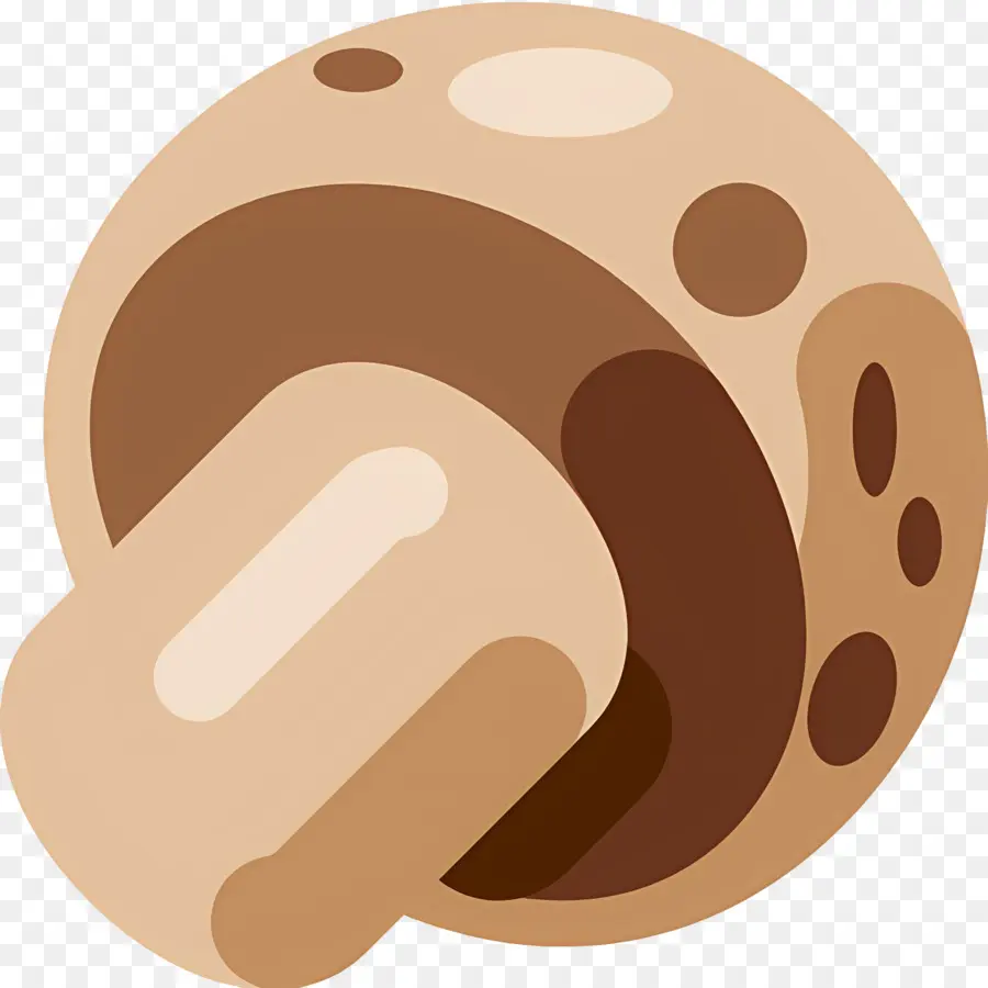 Champignon，Brun PNG