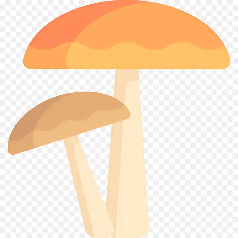 Champignon，Champignons PNG