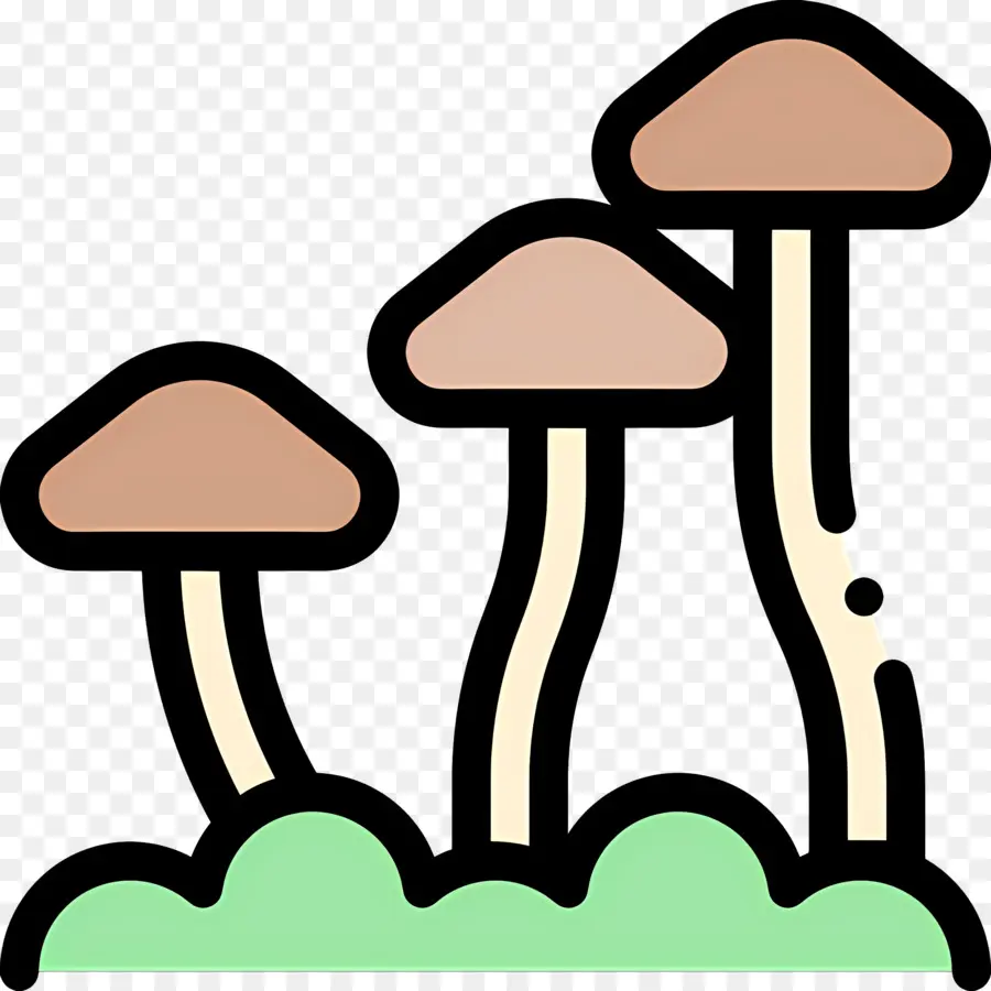 Champignon，Champignons PNG