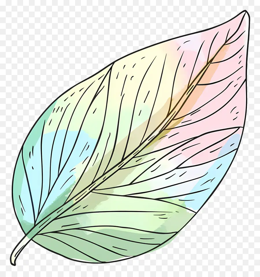 Feuille Pastel，Feuille PNG