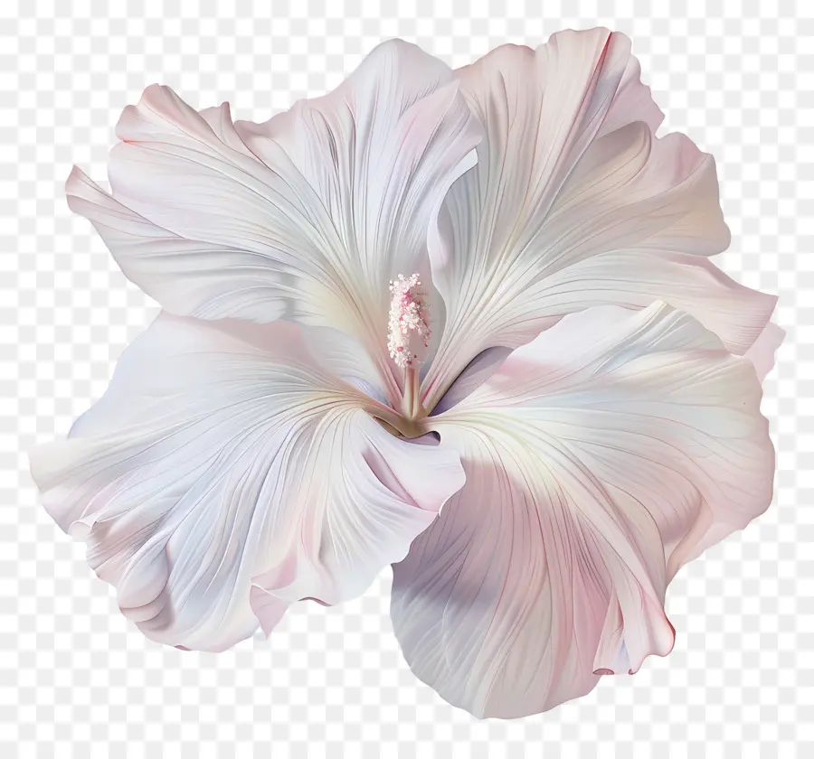 Fleur Pastel，Fleur Rose PNG