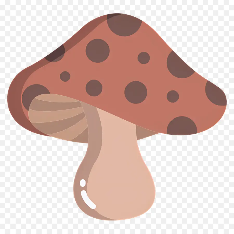 Champignon，Champignons Mignons PNG