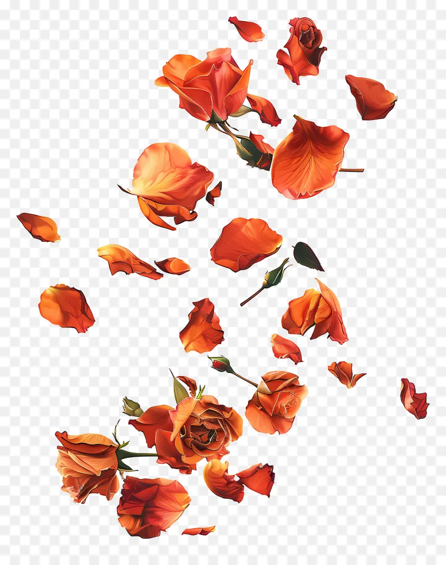 Chute De Pétales De Roses，Pétales De Roses PNG