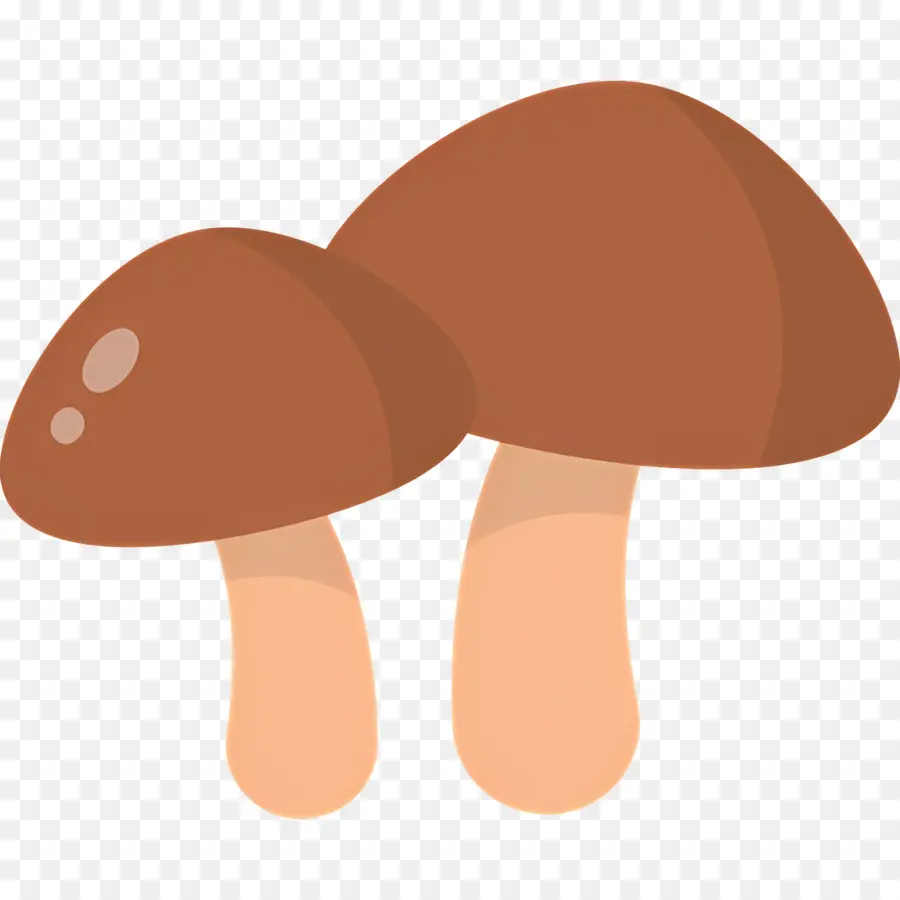 Champignon，Champignons PNG