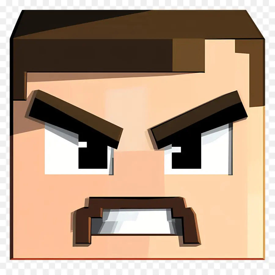 Minecraft，Visage En Colère PNG