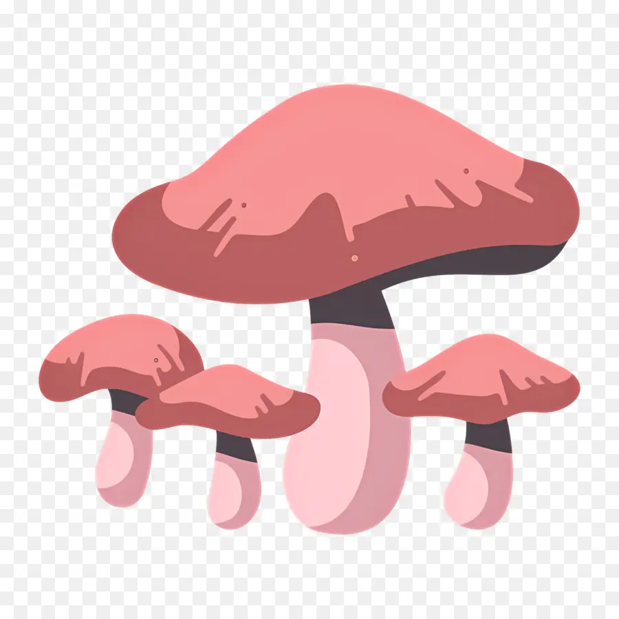 Champignon，Champignons PNG