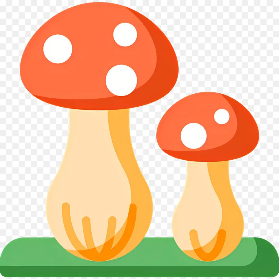 Champignon，Champignons PNG