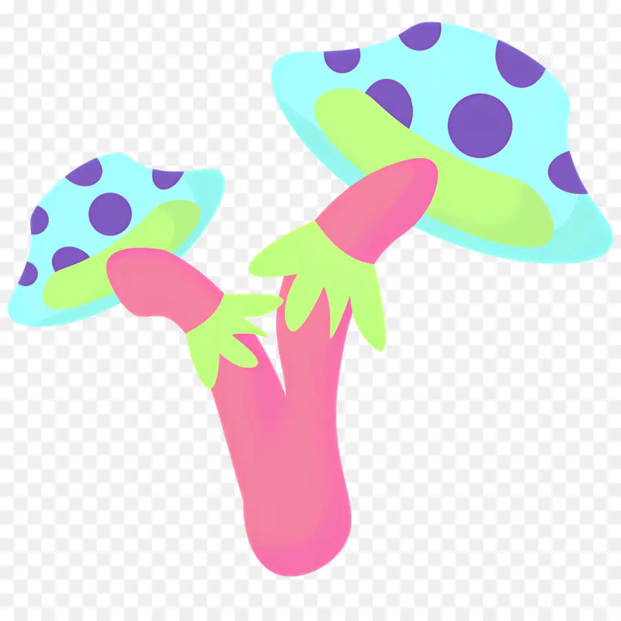 Champignon，Champignons Colorés PNG