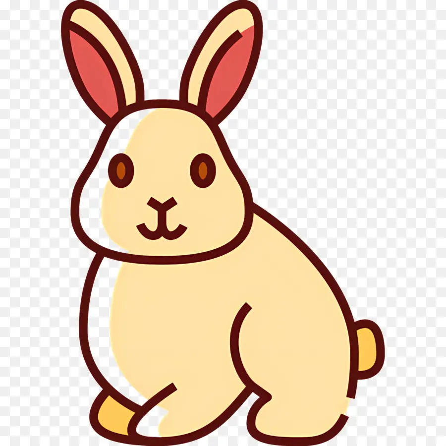 Lapin Mignon，Lapin PNG