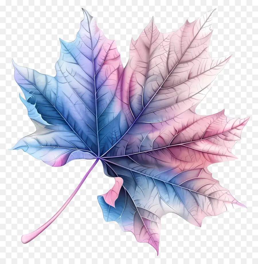 Feuille Pastel，Feuille Colorée PNG