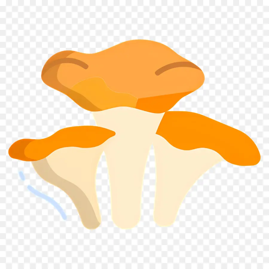 Champignon，Champignons Oranges PNG