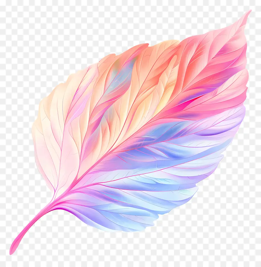 Feuille Pastel，Plumes Colorées PNG