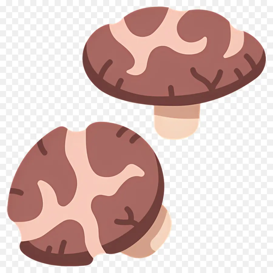 Champignon，Champignons Bruns PNG