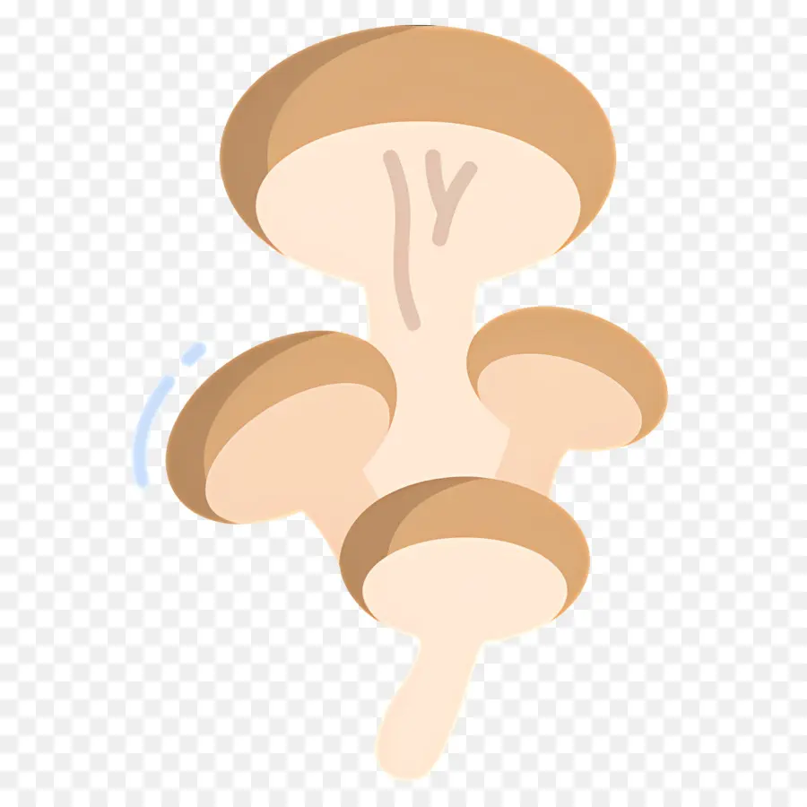 Champignon，Champignons PNG