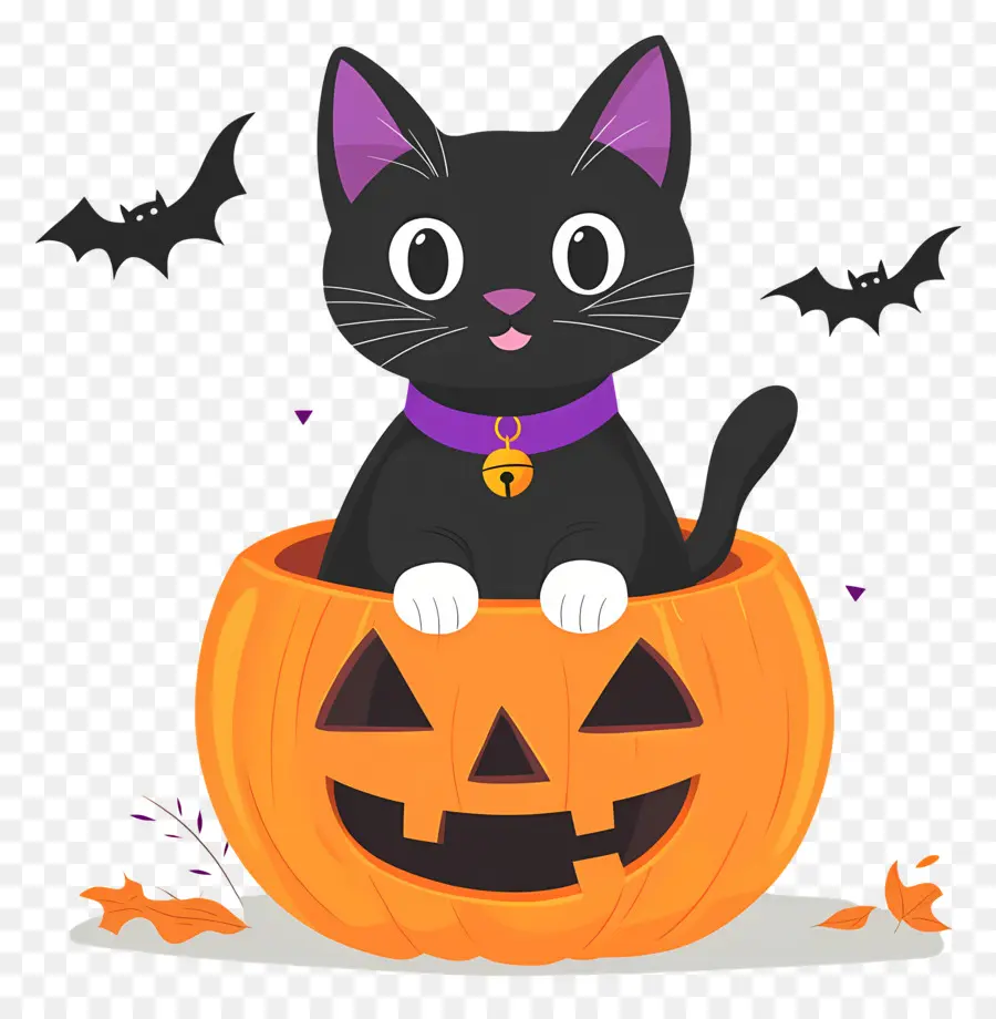 Chat Noir D'halloween，Chat Noir Sur Citrouille PNG