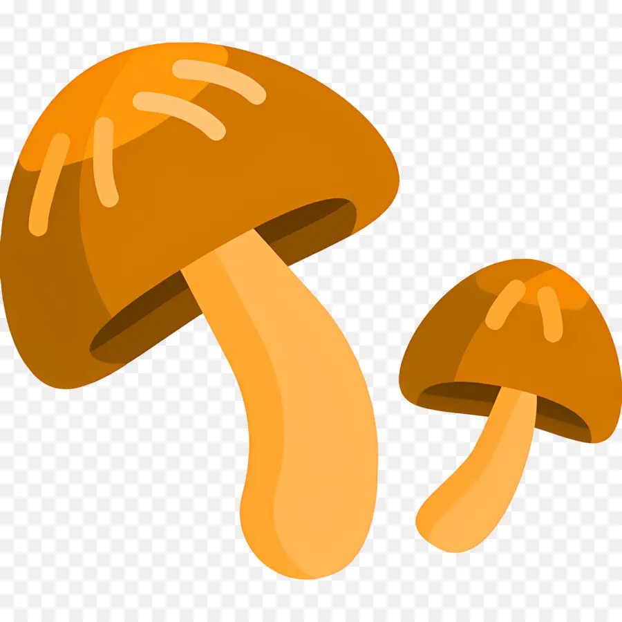 Champignon，Champignons PNG