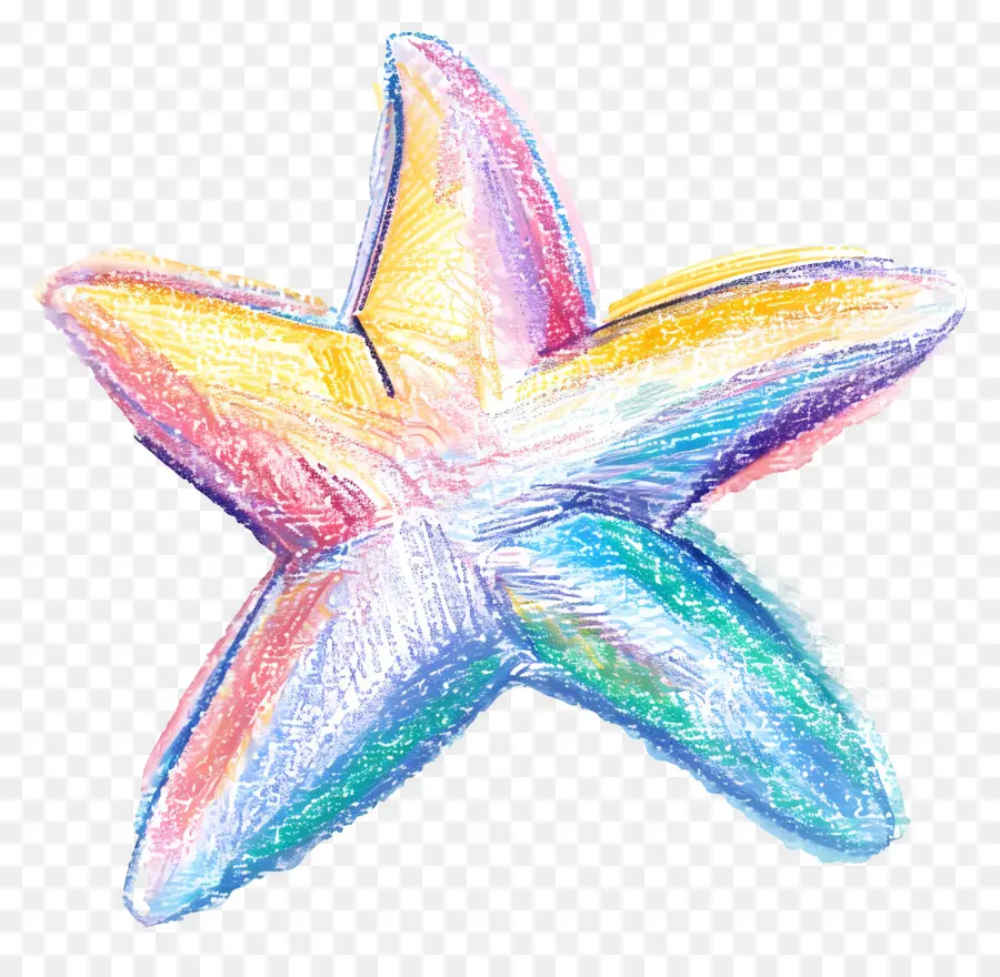 Étoile Pastel，Étoile De Mer Colorée PNG