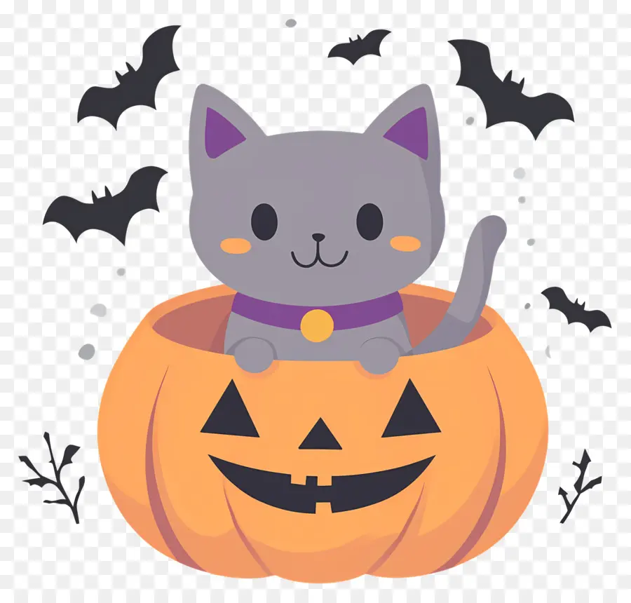 Chat D'halloween，Chat En Citrouille PNG