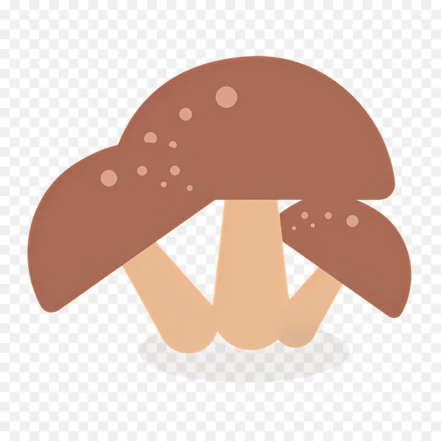 Champignon，Champignons Bruns PNG