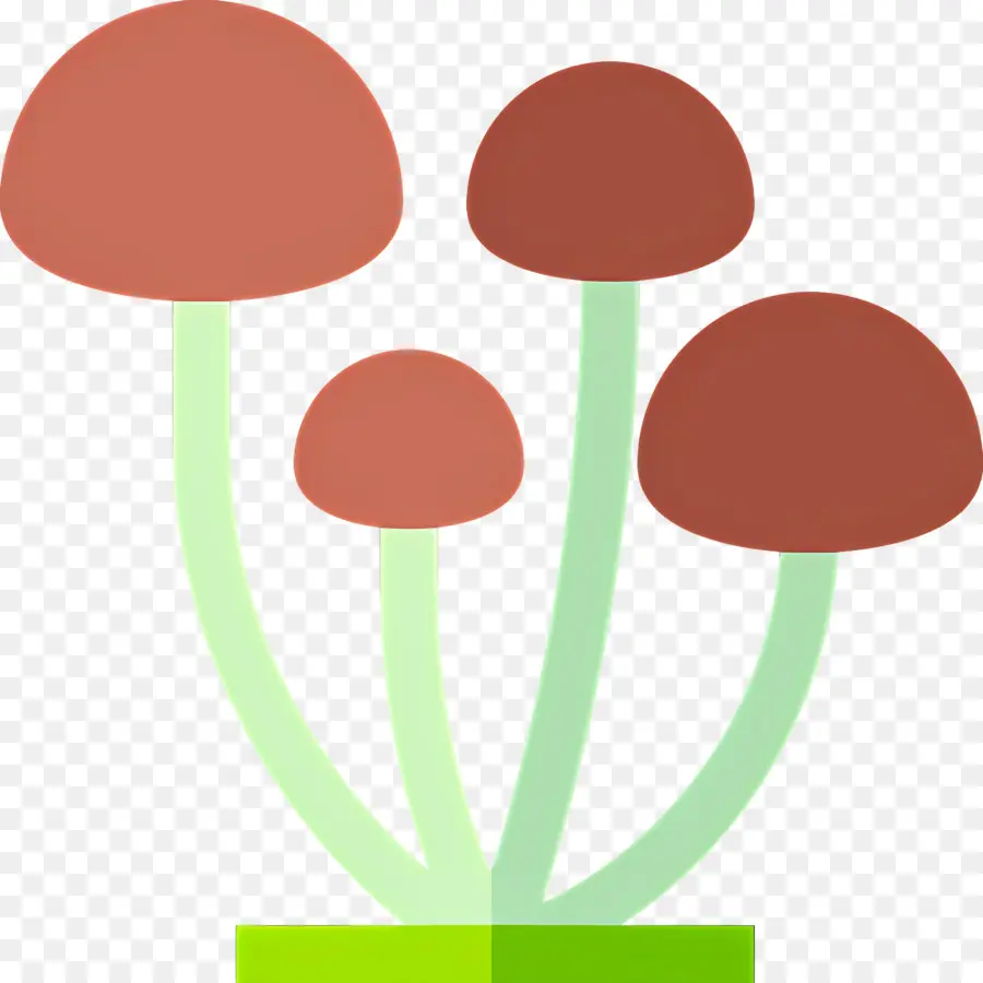 Champignon，Champignons Bruns PNG