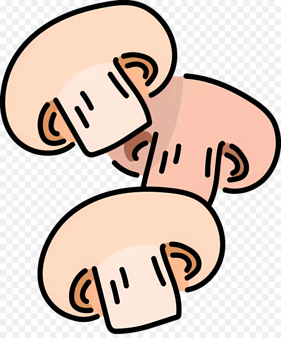 Champignon，Champignons PNG