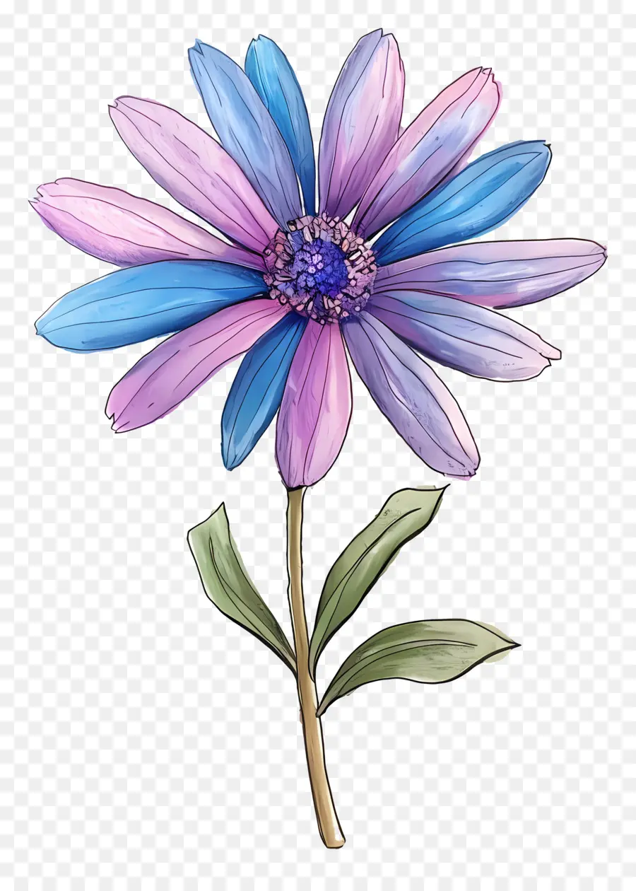 Fleur Pastel，Marguerite PNG