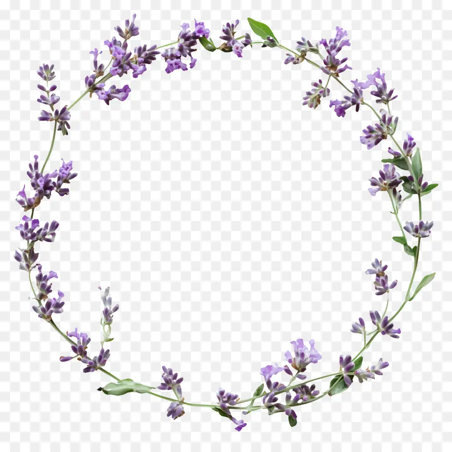 Cadre De Cercle，Cadre De Fleurs PNG