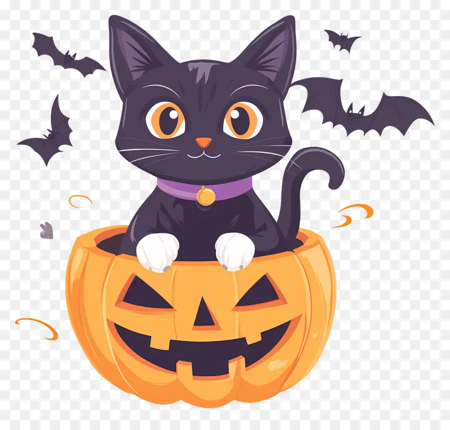 Chat Noir D'halloween，Chat En Citrouille PNG