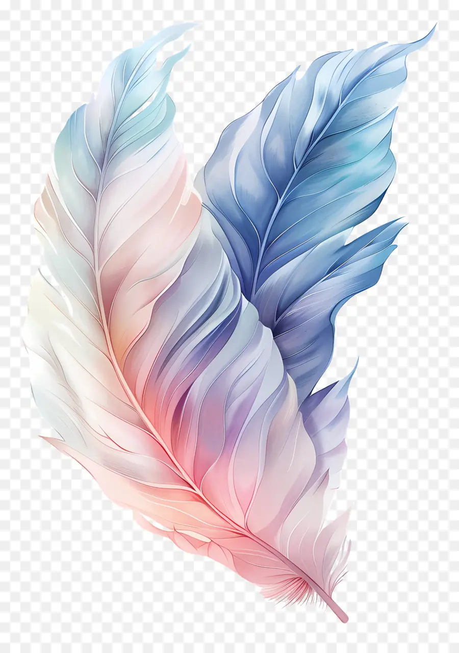 Feuille Pastel，Plumes Colorées PNG