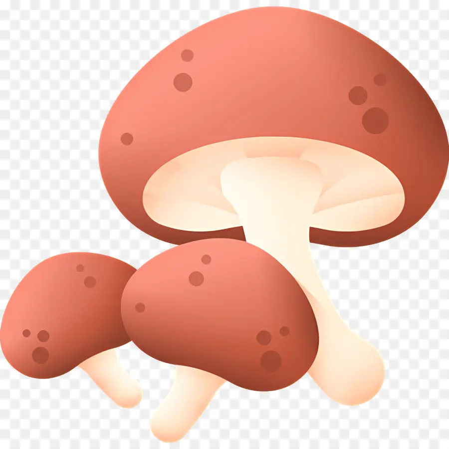 Champignon，Champignons PNG