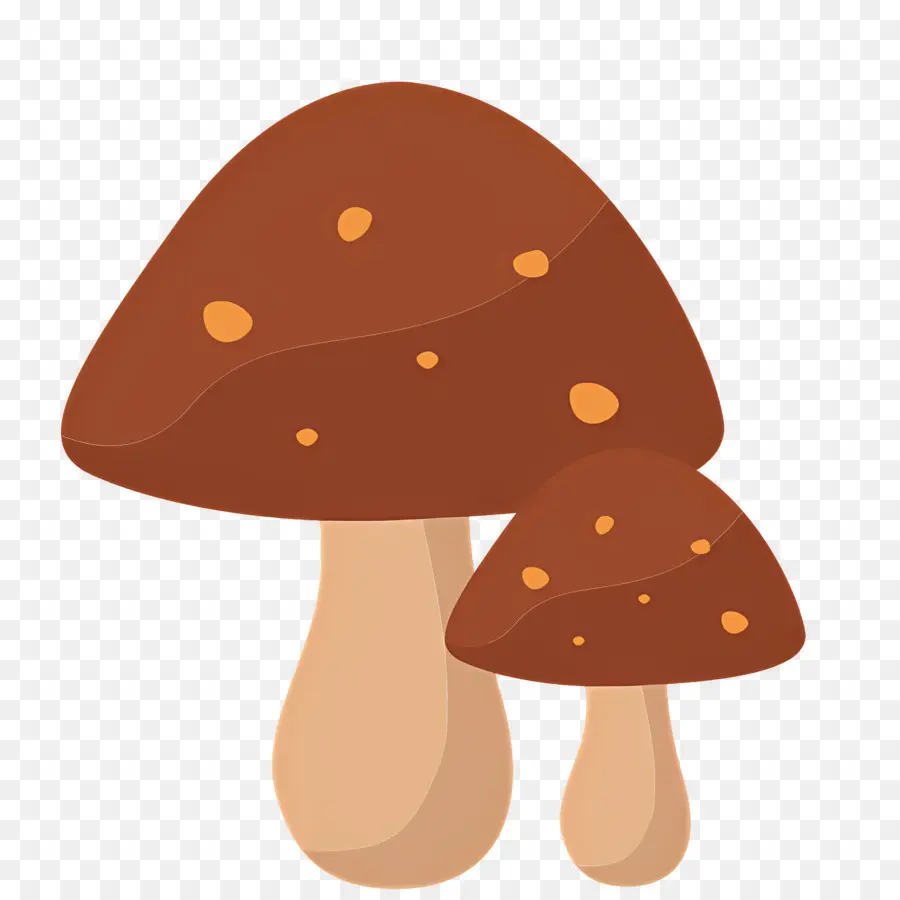 Champignon，Champignons PNG