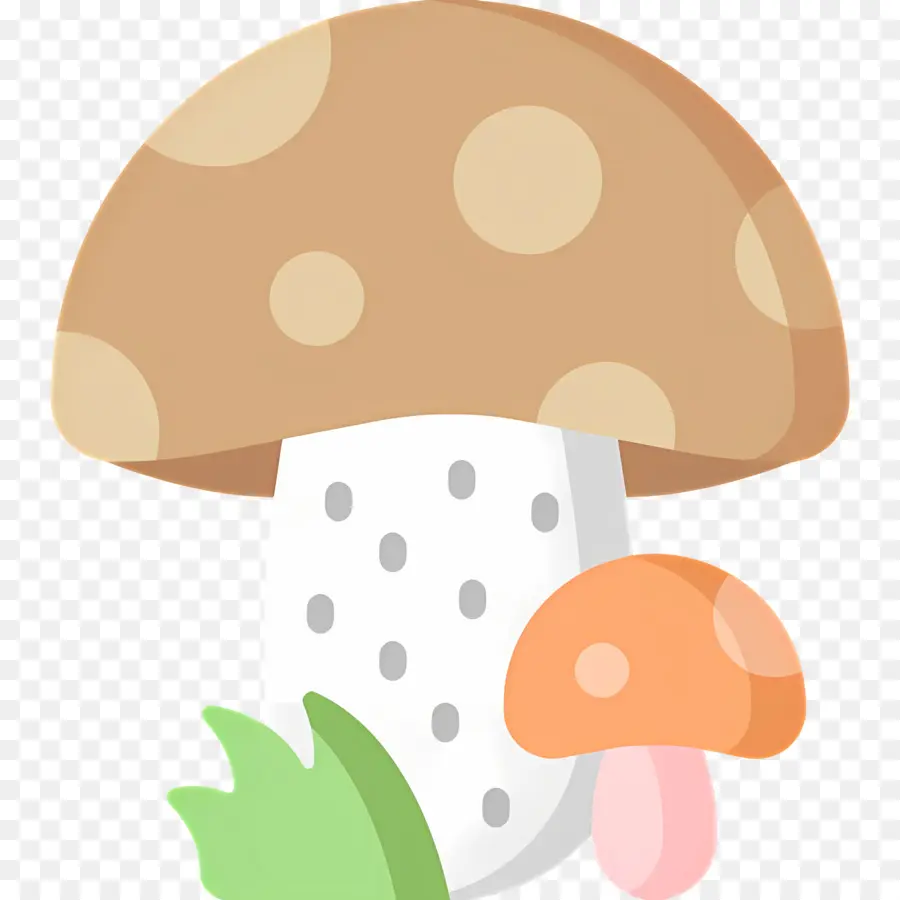 Champignon，Champignons PNG