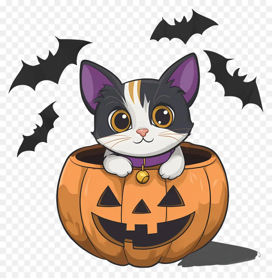 Chat D'halloween，Chat En Citrouille PNG