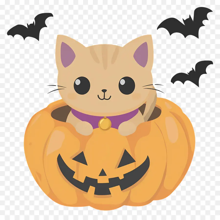 Chat D'halloween，Chat En Citrouille PNG