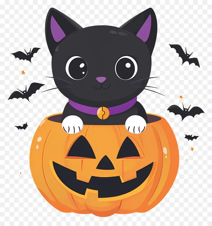 Chat Noir D'halloween，Chat En Citrouille PNG