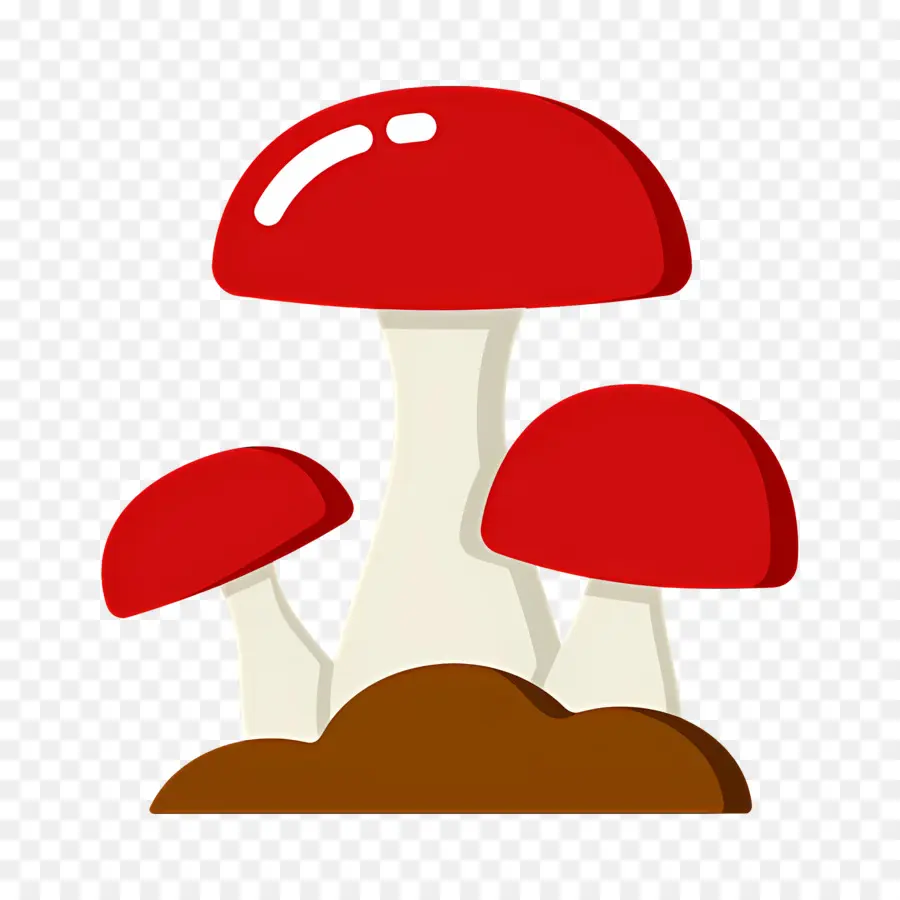 Champignon，Champignons PNG