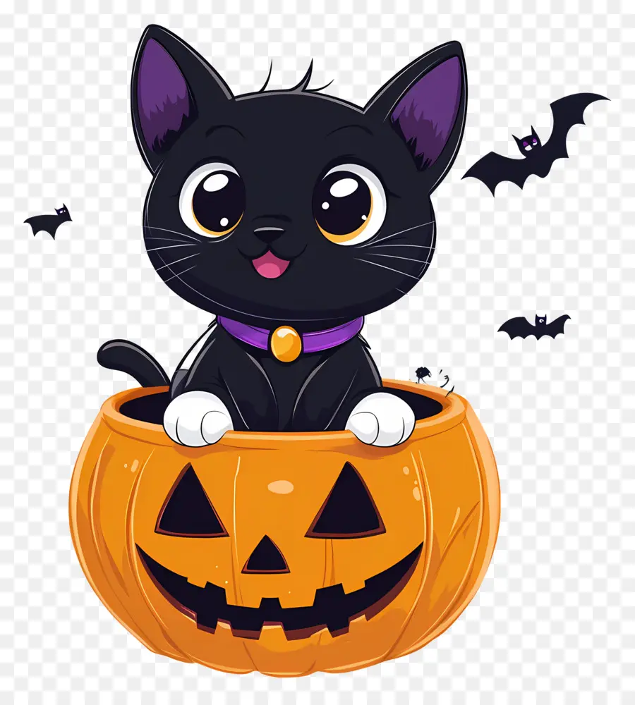 Chat Noir D'halloween，Chat En Citrouille PNG