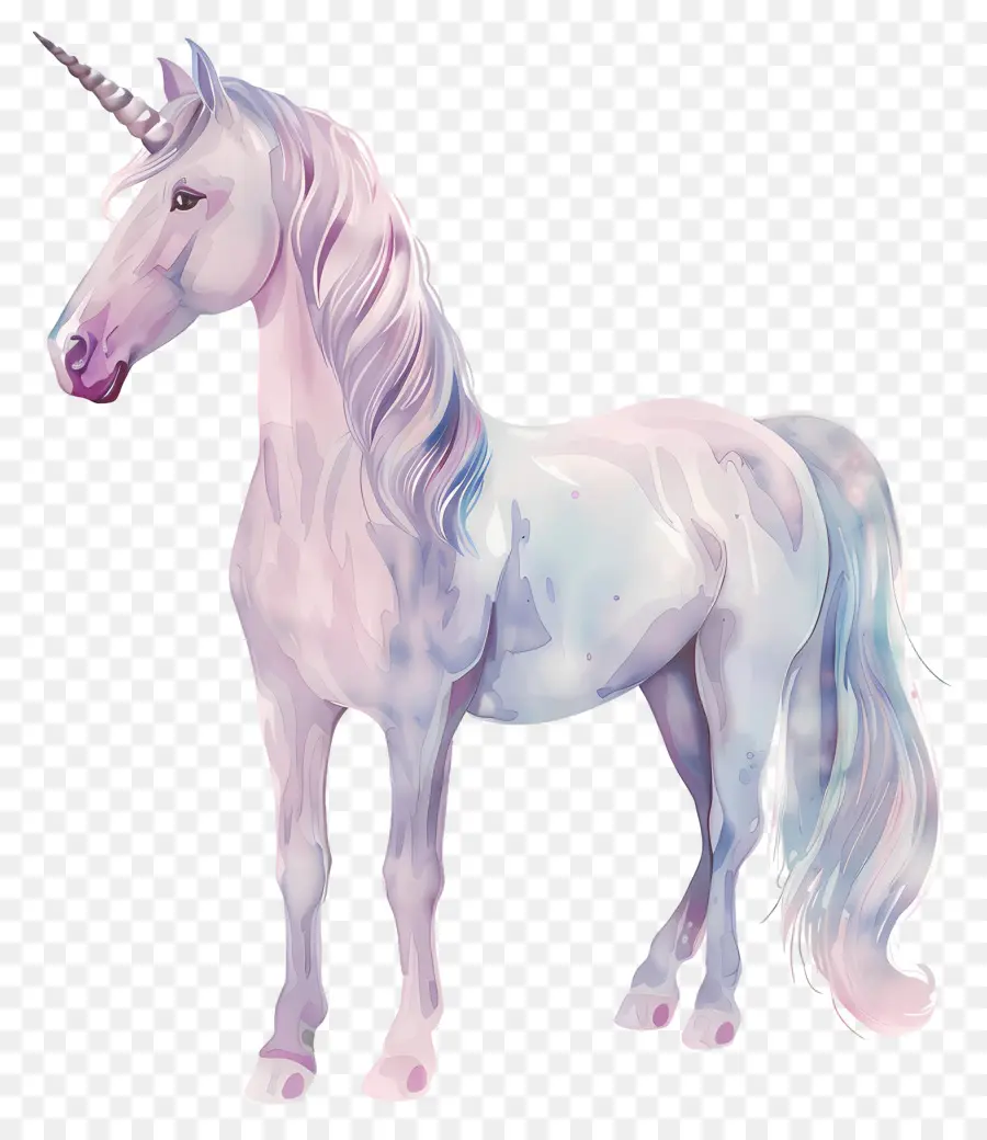 Licorne Pastel，Licorne PNG