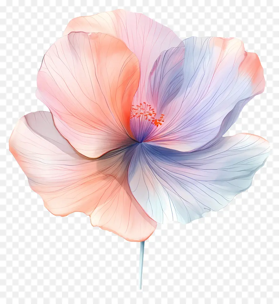 Fleur Pastel，Fleur Colorée PNG