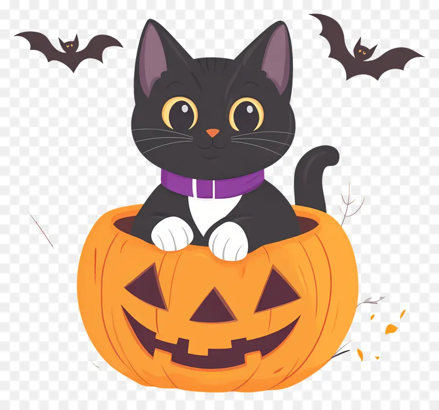 Chat Noir D'halloween，Chat En Citrouille PNG