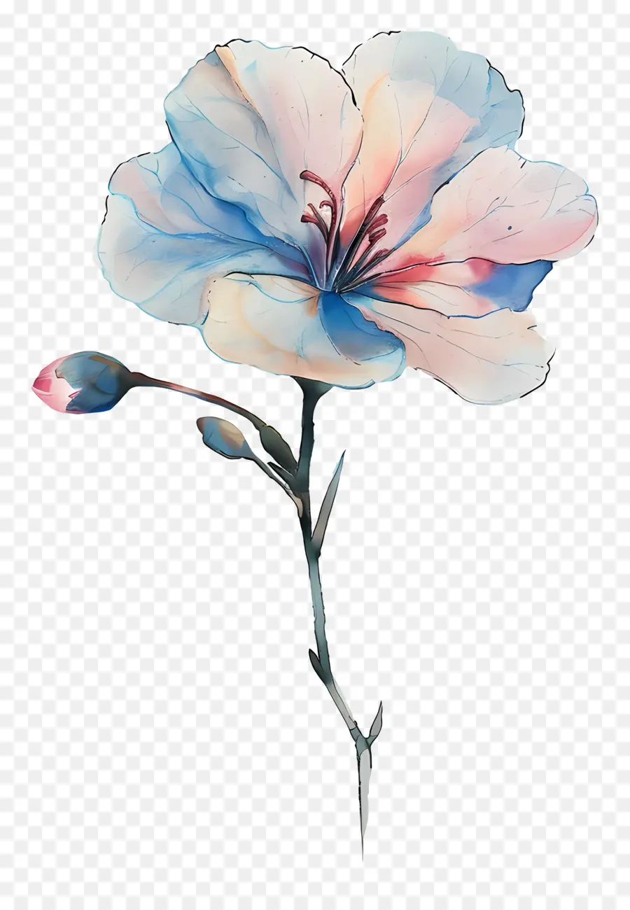 Fleur Pastel，Fleur Violette PNG