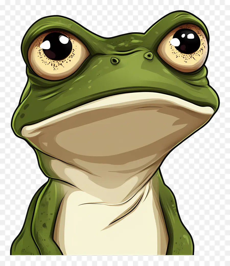 Grenouille Mignonne，Grenouille PNG